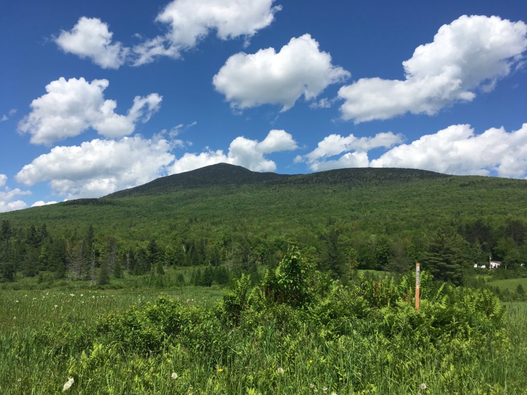 Starksboro Addison County Regional Planning Commission Vermont